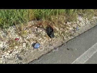 Ora News - "Fordi" përplaset me motoçikletën, vdes 48 vjeçari