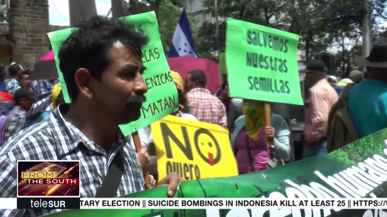 Over 120 Human Rights Defenders Killed in Honduras Since 2010