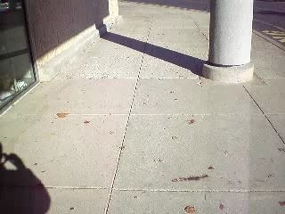 Look What We Found At Dick's!