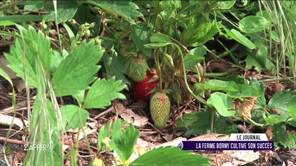 JAZ - 14/05/18 - Ferme de Borny, Marly Jazz Festival