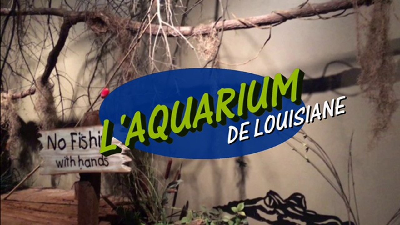 L’Aquarium de Louisiane at the Baton Rouge Zoo video Dailymotion