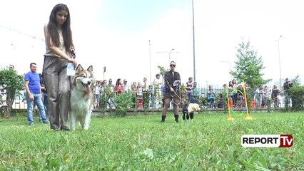 Report Tv - Nisi sot Panairi i Kafshëve Shtëpiake në ambientet e Kopshtit Zoologjik