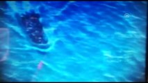 Deniz Aslanı - 2018 Arama Kurtarma Davet Tatbikatı Sürerken 213 Kaçak Göçmen Yakalandı