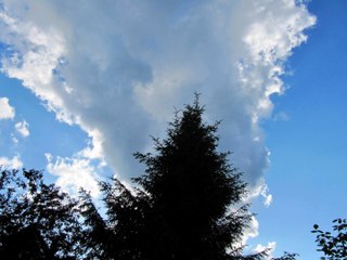 Wojciech Majewski - A. Scriabin - Poemat op.32 nr2