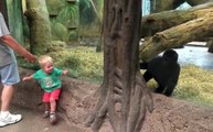 Un enfant et un bébé singe jouent à cache-cache à travers la vitre du zoo
