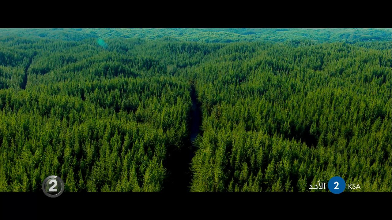 لعشاق أفلام العرب.. لاتفوتوا مشاهدة Evil Dead ا...