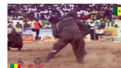 Video: Les raisons de l'abandon de Lac rose contre Mussa Ndoye