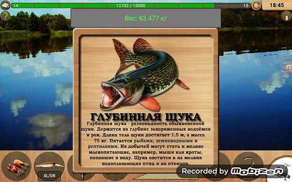 РЕАЛЬНАЯ РЫБАЛКА на андроид (озеро у деревни).