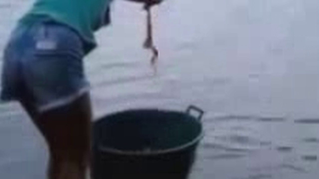 Les plus classiques dans le Monde des Façons d'Attraper des POISSONS