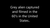 Grey alien captured and filmed in the 60's in the United States..