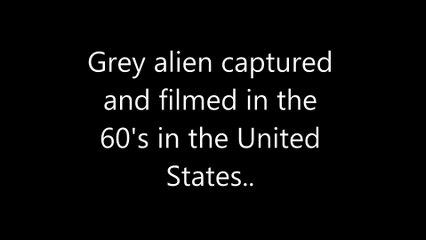 Grey alien captured and filmed in the 60's in the United States..