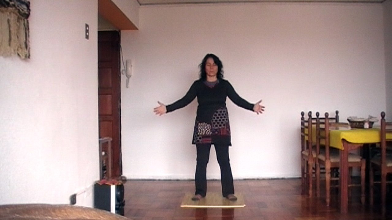 Practica Chi 2