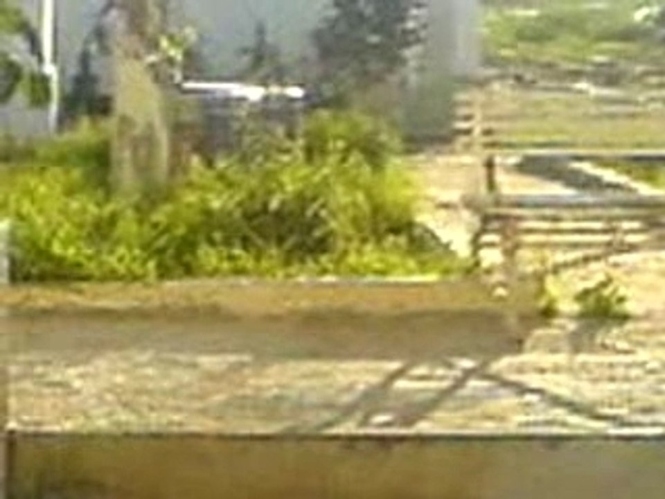 MOV00008