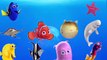 LEARN SEA ANIMALS & OCEAN WATER ANIMALS NAMES AND SOUND REAL SOUND CARTOON FOR KIDS COMPILATION