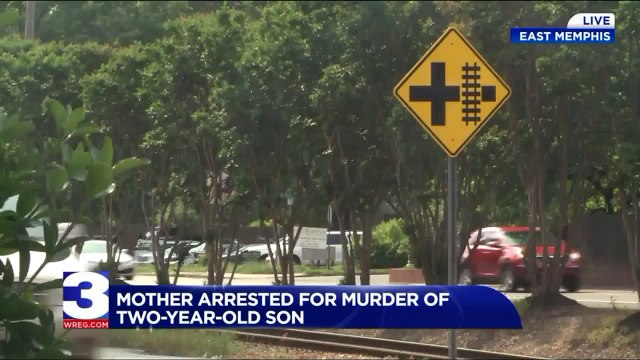 Mother Charged with Murder, Child Abuse in Connection to Two-Year-Old Son`s Death