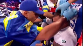 Vasyl Lomachenko vs Jorge Linares Full Fight Highlights 2018