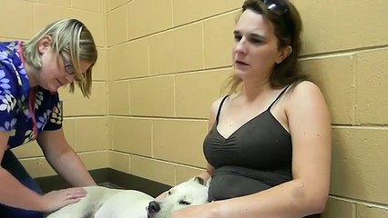 Daisy Courage-- Daisy goes to Heaven