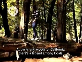 //IMPACTANTE// Seres Extraños En Los Bosques de California