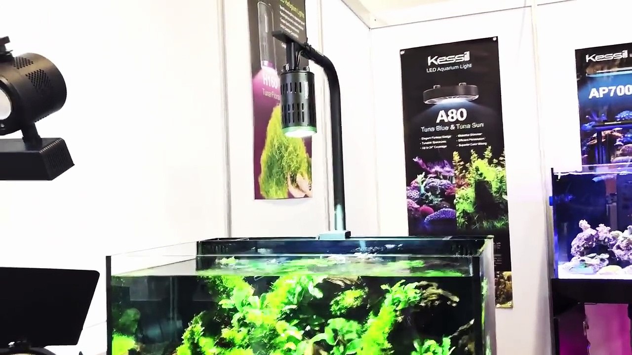 IZZI WILL NOCH KRASSERE AQUARIEN | INTERVIEW MIT IZZI | INTERZOO 2018 | AquaOwner
