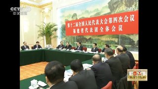[中国新闻]李克强参加福建代表团审议