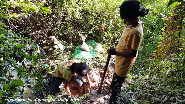 Amazing Children Catch Water Snakes With Bricks And Deep Hole