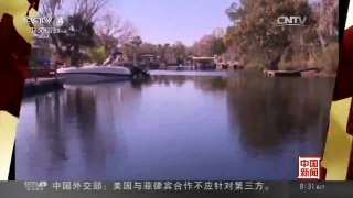 [中国新闻]美国迈阿密栖息海牛数量创新高 | CCTV-4