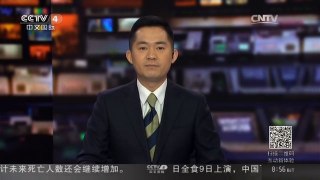 [中国新闻]小动物较真 对决仿真玩具