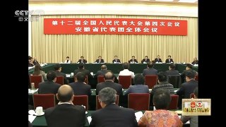 [中国新闻]张德江参加安徽代表团审议