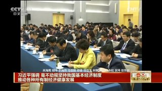 [中国新闻]习近平看望参加政协会议的民建工商联委员