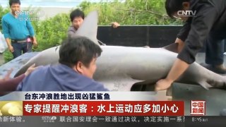 [中国新闻]台东冲浪胜地出现凶猛鲨鱼
