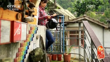 《记住乡愁第二季》 20160302 第五十八集 宝藏岩村——不忘根本 和谐共生