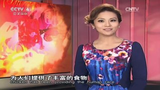 《中国文艺》 20160229 十二生肖贺新春