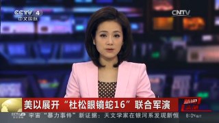 [中国新闻]美以展开“杜松眼镜蛇16”联合军演
