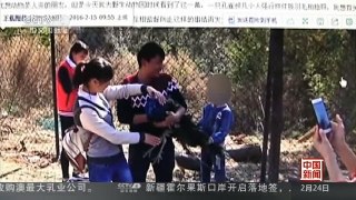[中国新闻]云南昆明：强拍照 拔羽毛 动物园一孔雀死亡