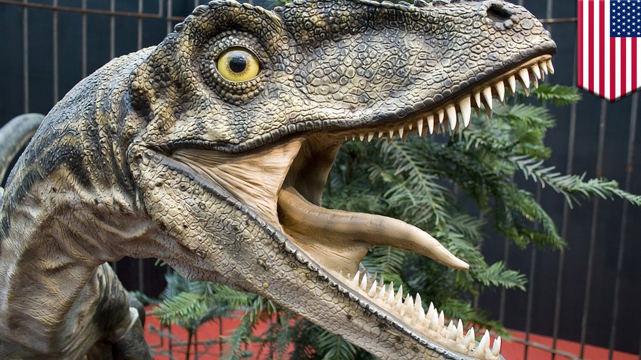 Tourists mess with ancient raptor history in Utah