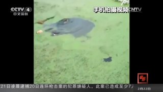 [中国新闻]广东潮州：两名幼童池塘溺水 众人合力营救