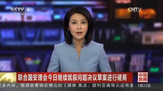 [中国新闻]联合国安理会今日继续就叙问题决议草案进行磋商