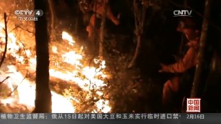 [中国新闻]云南香格里拉发生森林火灾 1死6伤