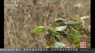 [中国新闻]四川：六旬老太误坠深井 9天后获救