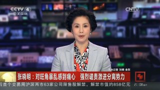 [中国新闻]张晓明：对旺角暴乱感到痛心 强烈谴责激进分离势力
