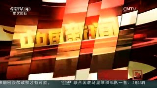 [中国新闻]中国今年将推进“雪龙探极”“蛟龙探海”重大工程