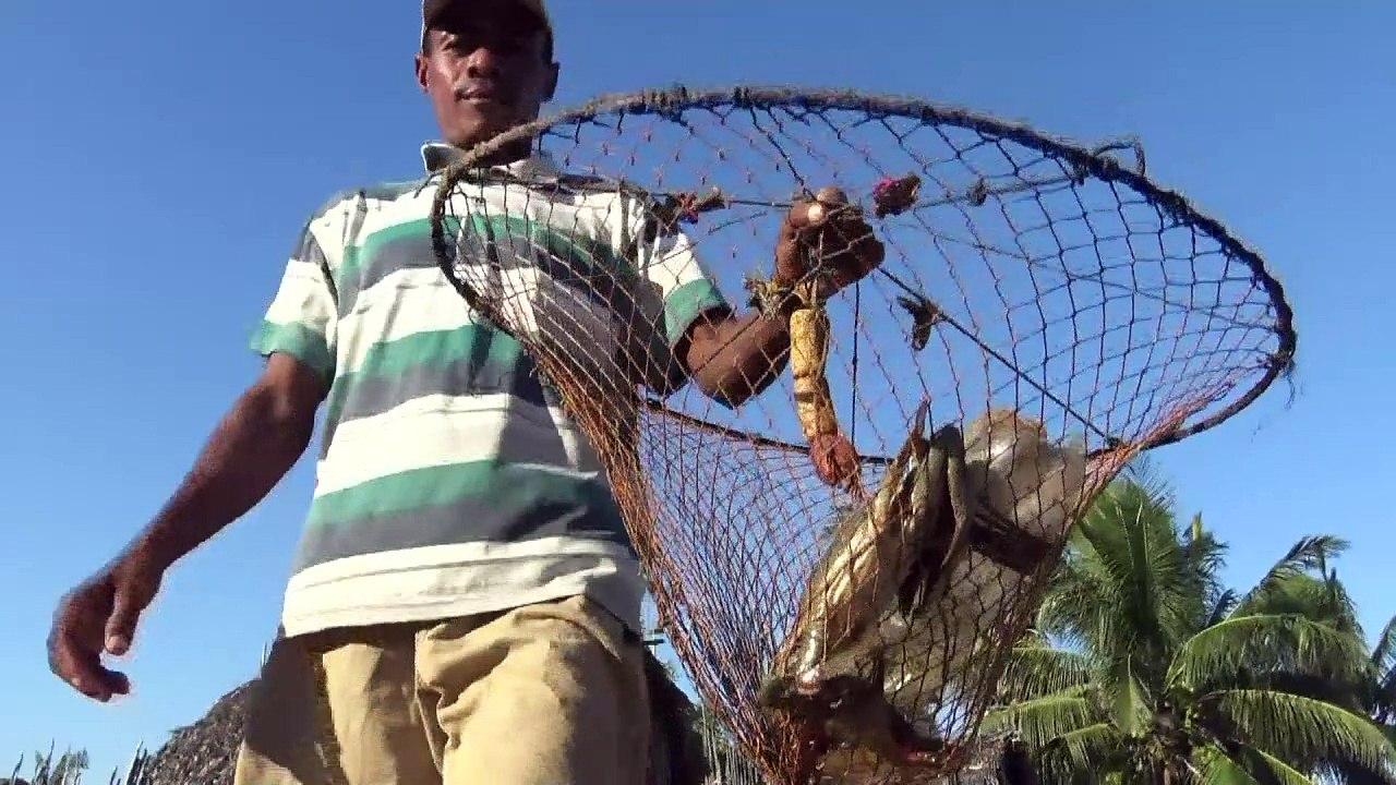 Madagaskars Mangrovenwald - überlebenswichtig