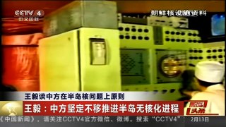 [中国新闻]王毅谈中方在半岛核问题上原则