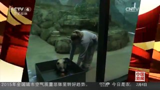 [中国新闻]中国驻美使馆举行“熊猫之夜”活动