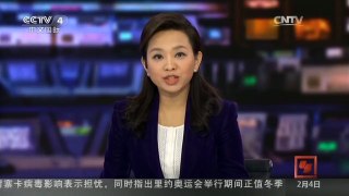 [中国新闻]年货大数据：“穿衣”“吃饭”类年货最火热