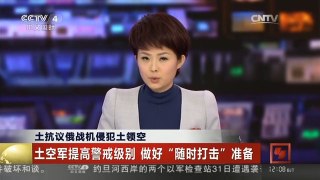 [中国新闻]土抗议俄战机侵犯土领空 土空军提高警戒级别 做好“随时打击