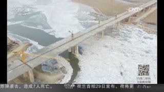 [中国新闻]黄河宁夏段封河总长超200公里