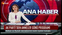 Ak Parti'de Anneler Günü programı