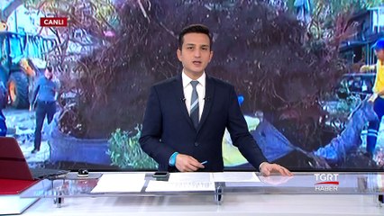 181 Yıllık Tarihi Çınar Yeniden Ayakta