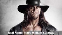 The Undertaker Lifestyle, House, Cars, Net worth, Income, Awards, Biography And Family